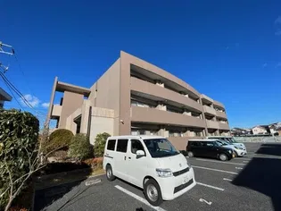 サンライズ オモテの画像