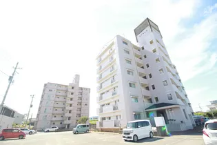 徳島県徳島市川内町金岡【マンション】の外観