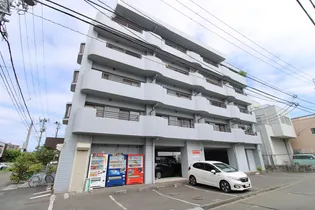 PALCITYの画像