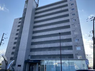 サンライズコスモの画像