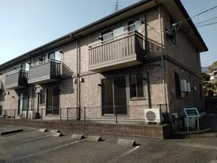 ウィルモアKの画像