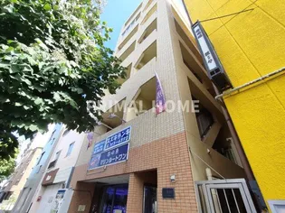 てぃだ横浜の画像