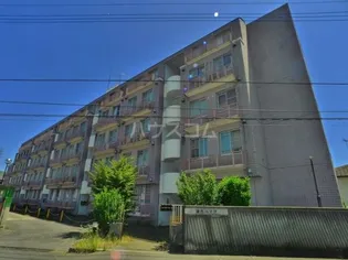 藤代ハイツ【5階】の外観