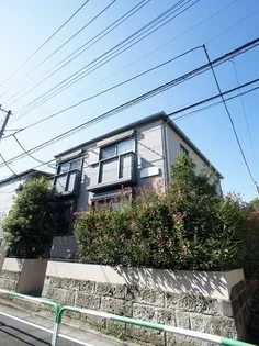 サン メグの画像