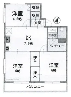 並木町サニーコーポ【4階】の間取り
