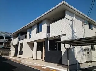 サニーコルドの画像