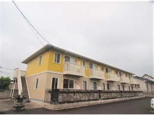 サンフラワー寿の画像