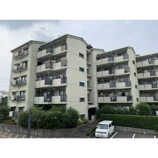 チェリーハイツ7棟の画像