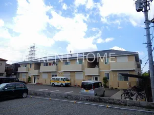 グリーンコートの画像