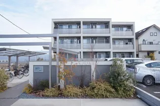 フェリーチェの画像