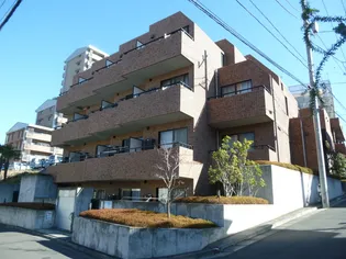 THE KASUGAYAMAの画像