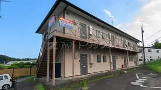 SAKURAの画像
