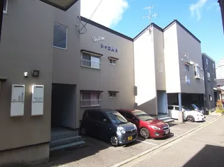 シャロムAの画像