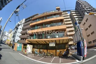 シャイニングスターの画像