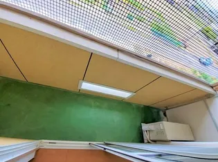 フラワーハイツC【1階】の内装