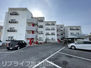 カインド小野の画像