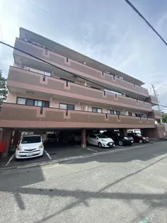 アプリコットKANDAの画像