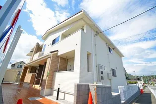 グリーン コンフォートの画像