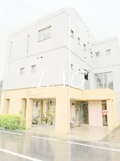 パルコートの画像