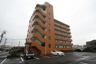 カーサいづみの画像