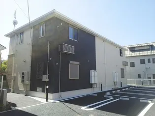 プラシードの画像