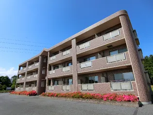 マンションプラチードグランデの画像