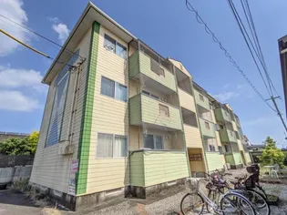 アメイジンググレイスの画像