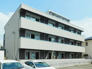 チェスナットの画像