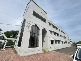 40PALの画像