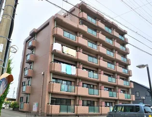 ル ド ソレイユの画像