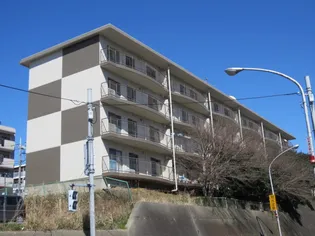 フォビテッツァの画像