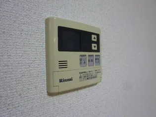 メゾン・ド・ネイジュII【1階】の内装