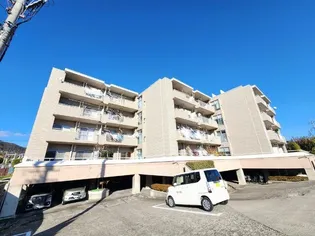 シャンボールみわの画像