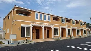 コスモス Kの画像