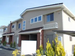 サザンクロスの画像