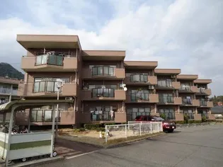 白石プラザの画像