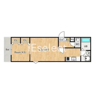 ジーメゾン千葉村田町シャルム【2階】の間取り