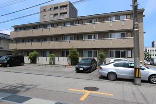 BANYAN TREEの画像