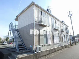 アイリス鈴木の画像