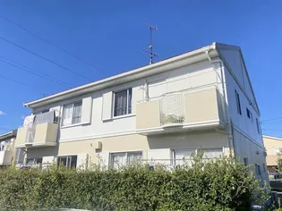T TOWNグリーンベルの画像