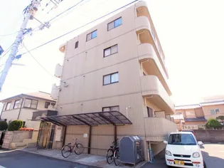 ステラの画像