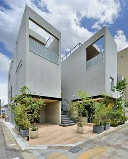 PETE猫洞通の画像