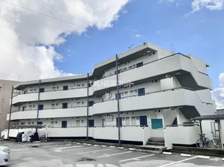 コウシンハイツ【2階】の外観