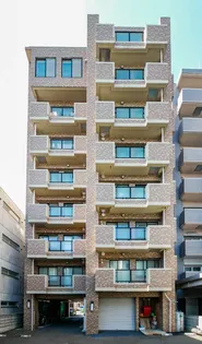 MSリリーズN22の画像