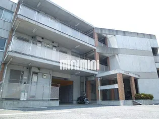 ロベリアの画像