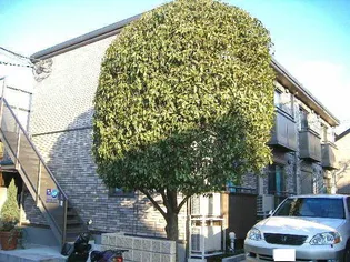 エクリュー吉祥寺の画像