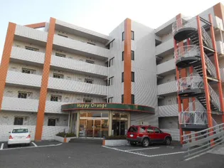 ハッピーオレンジの画像