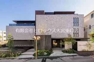 ステラ キャシェットの画像