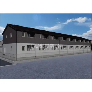 ビネガーゴールドの画像