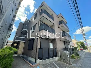 YS MARUCEAUの画像